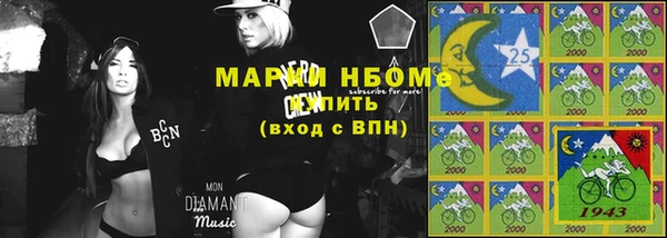 СК Алексин