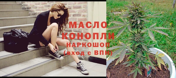 СК Алексин