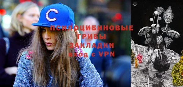 бутират Алзамай