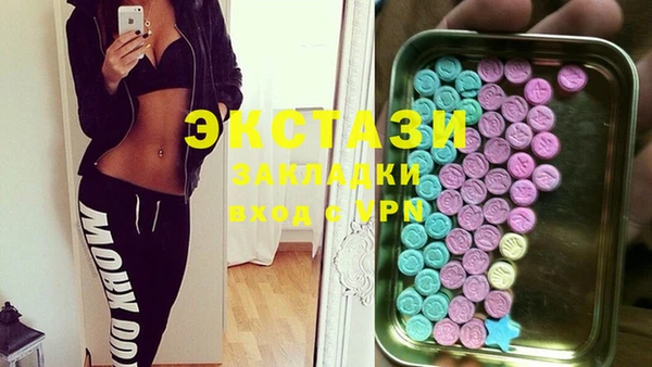 СК Алексин