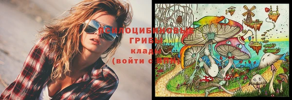 бутират Алзамай