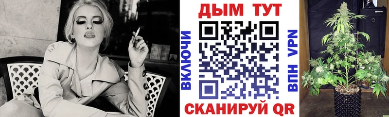 Бошки марихуана MAZAR  это клад  Бежецк 
